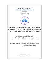 Nghiên cứu chiết rút phlorotannin chống oxy hóa từ rong mơ Sagassum mcclurei bằng phương pháp vi sóng