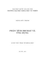 Phân tích Bruhat và ứng dụng