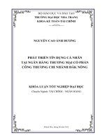 Phát triển tín dụng cá nhân tại Ngân hàng thương mại cố phần Công Thương - Chi nhánh Đăk Nông