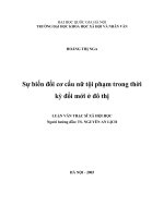 Sự biến đổi cơ cấu nữ tội phạm trong thời kỳ đổi mới ở đô thị