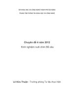 Chuyên đề: Kinh nghiệm nuôi chim Bồ câu