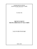 Một số vấn đề về phương trình toán tử ngẫu nhiên
