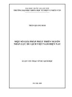 Một số giải pháp phát triển nguồn nhân lực du lịch Việt Nam hiện nay