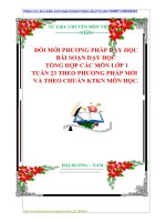 ĐỔI MỚI PHƯƠNG PHÁP DẠY HỌC  BÀI SOẠN DẠY HỌC    TỔNG HỢP CÁC MÔN LỚP 1  TUẦN 23 THEO PHƯƠNG PHÁP MỚI   VÀ THEO CHUẨN KTKN MÔN HỌC.