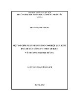 Một số giải pháp nhằm nân cao hiệu quả kinh doanh của Công ty TNHH Du lịch và Thương mại Đại Dương