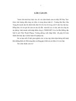 Một số giải pháp nhằm hạn chế rủi ro trong thanh toán một lô hàng xuất khẩu theo phương thức L.C tại công ty TNHH MTV cao su Phú Riềng