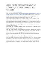 GIẢI PHÁP MARKETING CHO LĨNH vực KINH DOANH tài CHÍNH