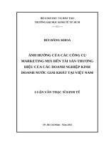 ảnh hưởng của các công cụ marketing mix đến tài sản đến tài sản thuwong hiệu của các doanh nghiệp kinh doanh nước giải khát tại Việt Nam