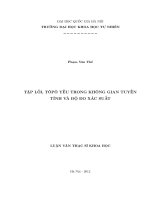 Tập lồi, Tôpô yếu trong không gian tuyến tính và độ đo xác suất