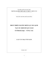phát triển nguồn nhân lực du lịch tại các khách sạn 4 sao ở tỉnh Bà Rịa - Vũng Tàu