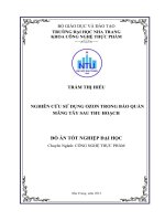 Nghiên cứu sử dụng Ozon trong bảo quản Măng tây sau thu hoạch