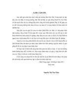 Các giải pháp nhằm cải thiện và nâng cao chỉ số năng lực cạnh tranh của tỉnh Khánh Hòa