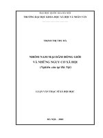 Nhóm nam mại dâm đồng giới và những nguy cơ xã hội