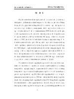 Chế tạo sensor điện hóa để phân tích lượng vết thuốc nổ Trinitrotoluene (TNT) trong môi trường