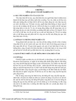 Thiết kế kỹ thuật hệ thống phun xăng đa điểm - Karman.