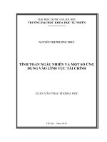 Tính toán ngẫu nhiên và một số ứng dụng vào lĩnh vực tài chính