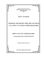 Mở rộng thị trường tiêu thụ sản phẩm của Công ty cổ phần nhôm Khánh Hòa