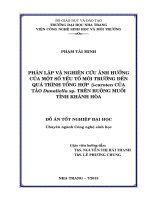 Phân lập và nghiên cứu ảnh hưởng của một số yếu tố môi trường đến quá trình tổng hợp β-caroten của tảo Dunaliella sp. trên ruộng muối tỉnh Khánh Hòa