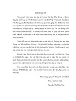 Hoàn thiện quy trình kiểm toán khoản mục tiền trong kiểm toán báo cáo tài chính do công ty TNHH kiểm toán và tư vấn Đất Việt thực hiện