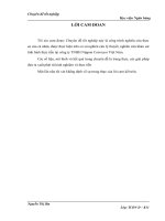 Nâng cao hiệu quả sử dụng tài sản ngắn hạn tại công ty TNHH Nippon Conveyor Việt Nam