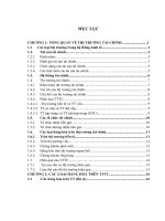 TỔNG QUAN VỀ THỊ TRƯỜNG TÀI CHÍNH