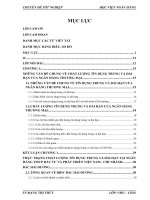 Giải pháp nâng cao chất lượng tín dụng trung và dài hạn tại Ngân hàng TMCP Đầu Tư và Phát triển Việt Nam – Chi nhánh Bắc Hải Dương