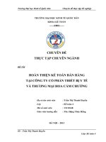 Hoàn thiện kế toán bán hàng tại Công ty Cổ phần Thiết bị Y tế và Thương mại Hoa Cẩm Chướng