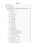 Thiết kế cầu dầm giản đơn bê tông cốt thép dự ứng lực căng trước, tiết diện supper t với tổng chiều dài cầu 179,6m gồm 5 nhịp 35m, tải thiết kế HL93
