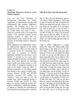 Tiểu luận môn kinh doanh quốc tế Tiếp thị lò viba ở một thị trường mới