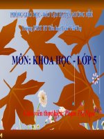 slide thuyết trình Khoa học 5 Bài 19 - Phòng tránh tai nạn giao thông đường bộ