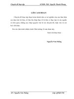 Giải pháp phát triển thị trường tiêu thụ vật tư ngành nước của Công ty cổ phần đầu tư An Phát