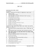 Giải pháp phát triển thị trường nội dịa của công ty TNHH Sufat Việt Nam