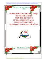 ĐỔI MỚI PHƯƠNG PHÁP DẠY HỌC  BÀI SOẠN DẠY HỌC    MÔN THỂ DỤC LỚP 1  TỪ TUẦN 31 ĐẾN TUẦN 35  CÓ HÌNH ẢNH CỤ THỂ,  SINH ĐỘNG GIẢNG DẠY DỄ DÀNG