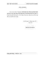 Giải pháp hoàn thiện hoạt động thanh toán quốc tế tại Ngân hàng TMCP phát triển Nhà thành phố Hồ Chí Minh