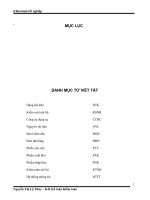 Kiêm toán chu trình hàng tồn kho tai nhà máy tinh bột sắn intimex