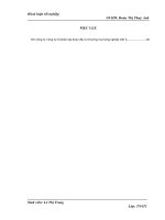 Phân tích tài chính tại Công ty Cổ phần Tập đoàn đầu tư thương mại Công nghiệp Việt Á