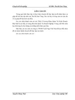 Hoàn thiện công tác xây dựng kế hoạch tiêu thụ sản phẩm tại công ty TNHH Tuyết Nga Việt Nam