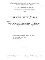 Nâng cao hiệu quả kinh doanh dịch vụ của Công ty cổ phần dịch vụ và giải pháp trực tuyến Vgroup.
