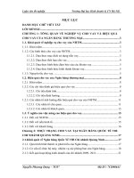 Một số giải pháp nâng cao hiệu quả cho vay tại NH TMCP Quốc Tế Việt Nam- VIB,Chi nhánh Quảng Ninh