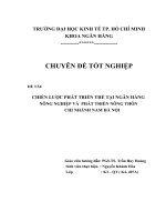 CHIẾN LƯỢC PHÁT TRIỂN THẺ TẠI NGÂN HÀNG NÔNG NGHIỆP VÀ  PHÁT TRIỂN NÔNG THÔN  CHI NHÁNH NAM HÀ NỘI