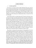 Giải pháp nhằm phát triển hoạt động truyền thông Internet Marketing cho sản phẩm ứng dụng điện thoại di động của Công ty CP Công nghệ Điểm Việt đối với thị trường Việt Nam trong thời gi