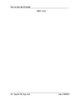 Hoàn thiện công tác kế toán tiền lương và các khoản trích theo lương tại công ty Cổ phần đầu tư phát triển và tư vấn thiết kế xây dựng hà nội