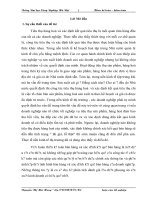 Hoàn thiện kế toán bán hàng và xác định kết quả kinh doanh tại Công ty TNHH thương mại và dịch vụ Âu Lạc