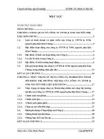 Hoàn thiện hoạt động marketing nhằm mở rộng thị trường nội địa của công ty cổ phần thương mại và xuất nhập khẩu nguyên phụ liệu Kim Chung