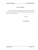 Giải pháp nâng cao hiệu quả sử dụng vốn lưu động ở Công ty cổ phần Tràng An