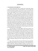 Nâng cao hiệu quả sử dụng vốn lưu động tại Công ty TNHH MTV Thương mại Habeco