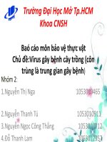 Virus gây bệnh cây trồng (côn trùng là trung gian gây bệnh )