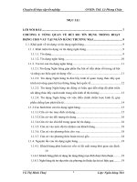 Giải pháp hạn chế rủi ro trong hoạt động cho vay tại Ngân hàng thương mại cổ phần quốc tế Việt Nam – chi nhánh Long Biên