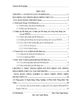 Quy trình và phương pháp định giá bất động sản trong hoạt động cho vay tại chi nhánh Ngân hàng nông nghiệp và phát triển nông thôn huyện  Tiên Lữ