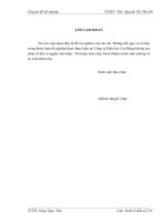 Định hướng và giải pháp nhằm nâng cao hiệu quả  hoạt động đầu tư phát triển tại Công ty Điện lực Cao Bằng